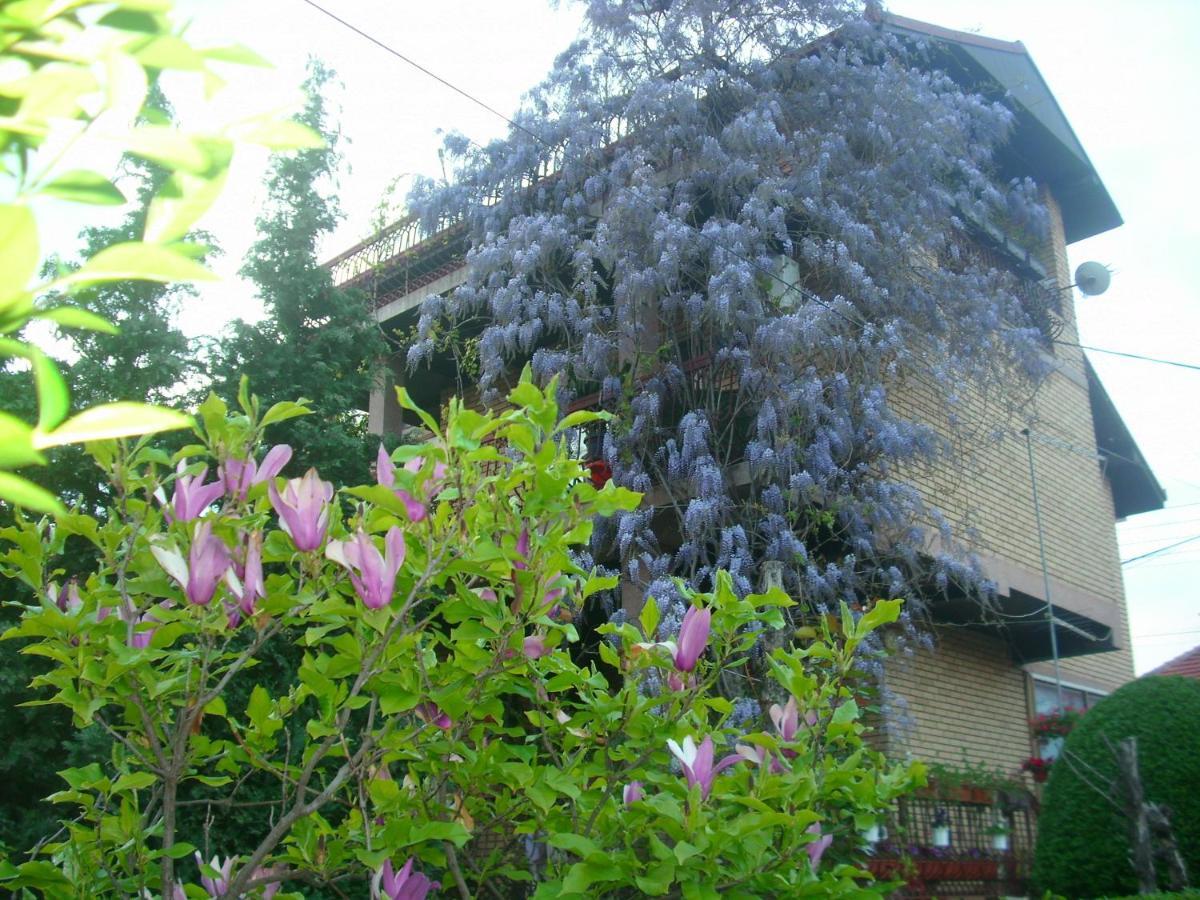 Apartman Wisteria Vranje Exterior foto