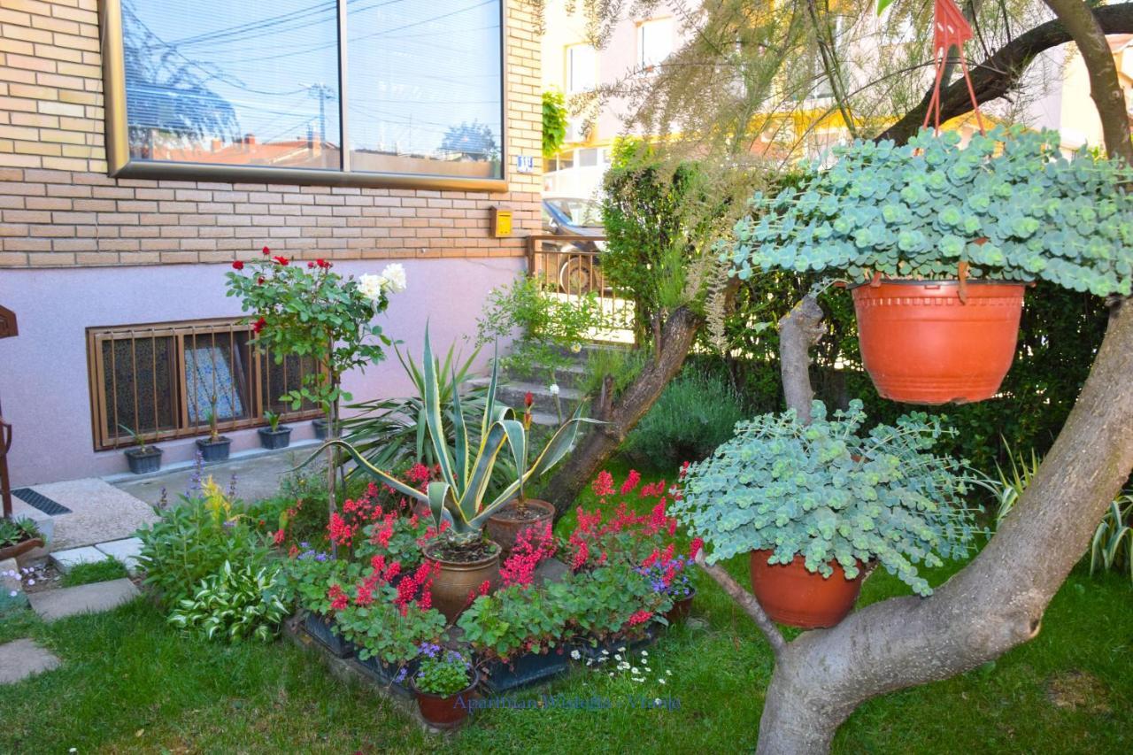 Apartman Wisteria Vranje Exterior foto