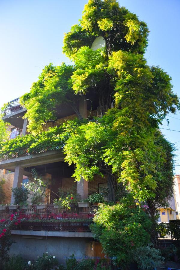 Apartman Wisteria Vranje Exterior foto