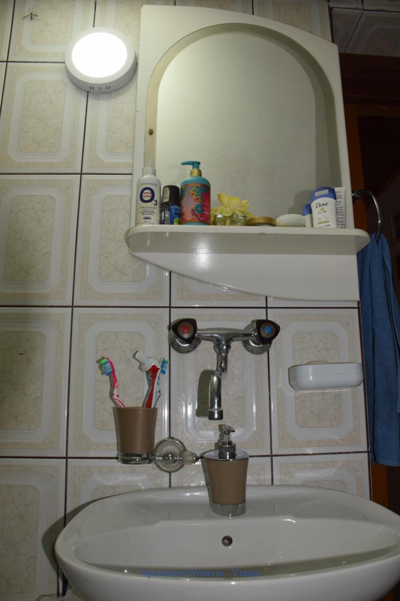 Apartman Wisteria Vranje Exterior foto